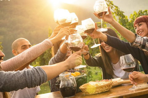 Yarra Valley, Dandenong Ranges Inc. Lunch With Wine,plus Morning Tea,chocolate - Geraldton Accommodation 4