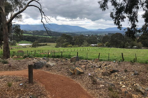 Yarra Valley Wine Tour Inc Lunch With A Glass Of Wine, Tastings And Chocolate - Geraldton Accommodation 0