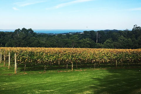 Yarra Valley Wine Tour Inc Lunch With A Glass Of Wine, Tastings And Chocolate - Geraldton Accommodation 2