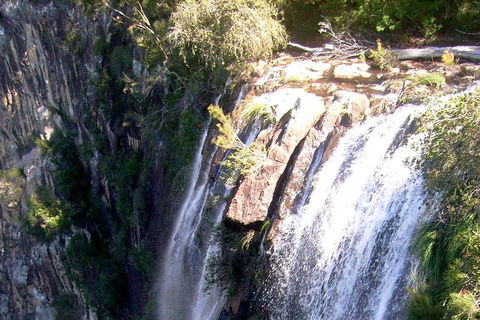 Byron Bay Combo: Hinterland Tour Including Minyon Falls And Kayaking With Dolphins - Geraldton Accommodation 3