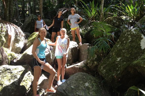 Byron Bay Combo: Hinterland Tour Including Minyon Falls And Kayaking With Dolphins - Geraldton Accommodation 4