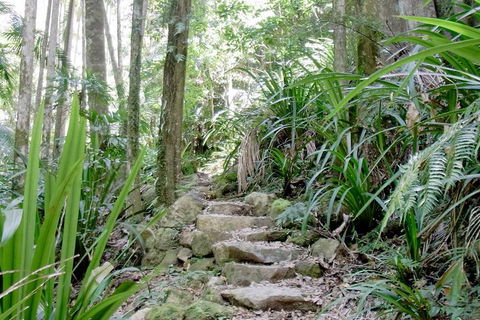 Byron Bay Combo: Hinterland Tour Including Minyon Falls And Kayaking With Dolphins - Geraldton Accommodation 5