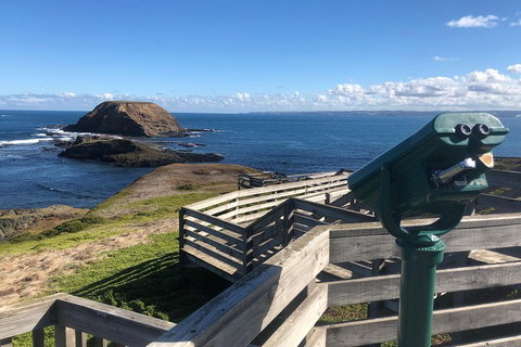 Private Phillip Island Tour - Geraldton Accommodation 4