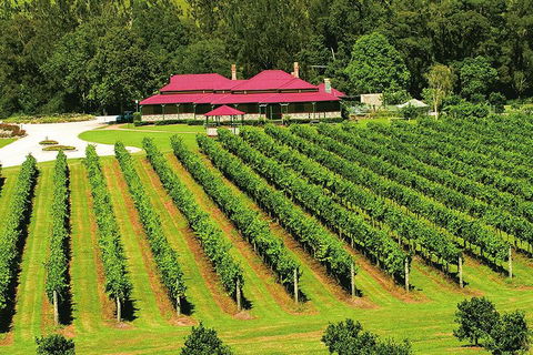 O'Reilly's & Lamington National Park From Brisbane - Geraldton Accommodation 2