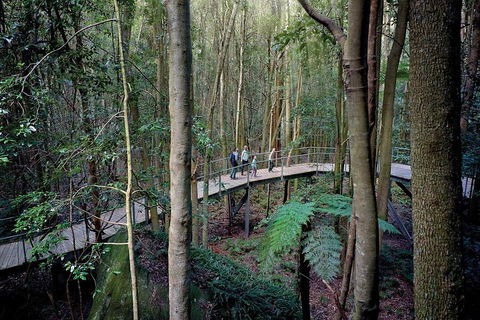 Blue Mountains PRIVATE Day Tour - Geraldton Accommodation 5