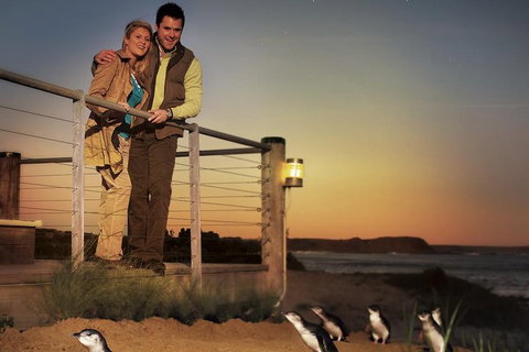 The Ultimate Melbourne Attractions Pass - Geraldton Accommodation 3