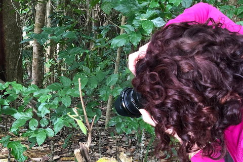 Let's Go Buggin & Let's Go Shroomin - Photography & Nature Walking Tours - Geraldton Accommodation 1