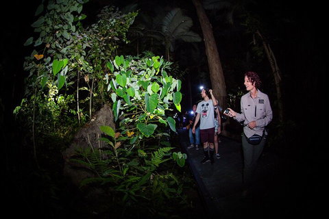Let's Go Buggin & Let's Go Shroomin - Photography & Nature Walking Tours - Geraldton Accommodation 4