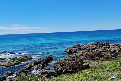 Private Custom Byron Bay Day Out - Geraldton Accommodation 4