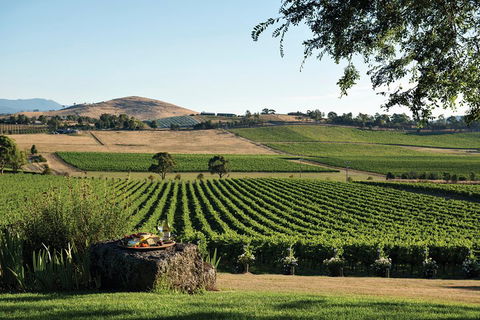 Yarra Valley Premium Tour Inc Lunch And Cheese, Chocolate Fondue At Rochford - Geraldton Accommodation 1