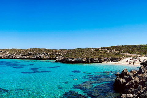 Rottnest Island Roundtrip Fast Ferry From Hillarys Boat Harbour - Geraldton Accommodation 4