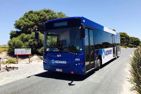 Rottnest Bayseeker Bus Tour From Hillarys Boat Harbour - Geraldton Accommodation 0