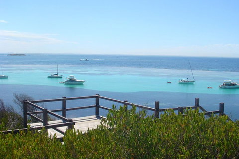 Rottnest Bayseeker Bus Tour From Hillarys Boat Harbour - Geraldton Accommodation 3