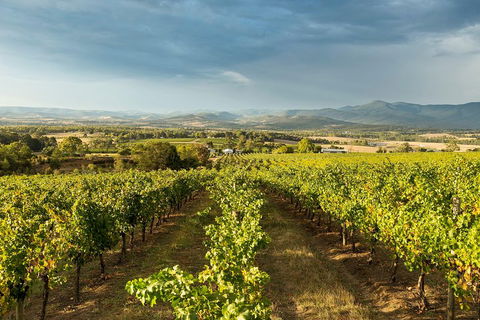 Yarra Valley Local Produce And Wine Tasting Tour - Geraldton Accommodation 3
