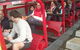 Blue Mountains Private Tour With Wildlife Park And River Cruise - thumb 0
