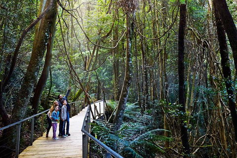 Blue Mountains Private Tour With Wildlife Park And River Cruise - Geraldton Accommodation 4