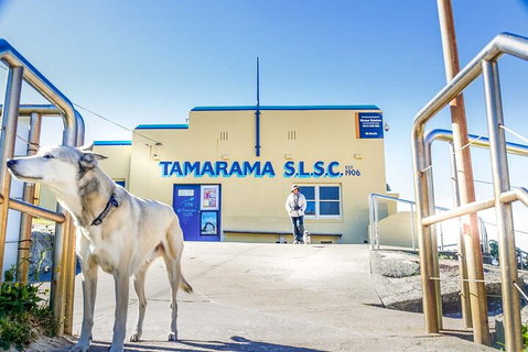Smartphone & Camera Photography Basics - Geraldton Accommodation 5