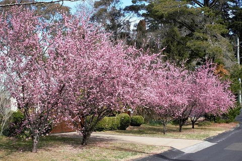 Blue Mountains - Geraldton Accommodation 1