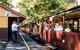 LGBT+ Friendly Full Day Yarra Valley & Dandenong Ranges Private Tour - thumb 3