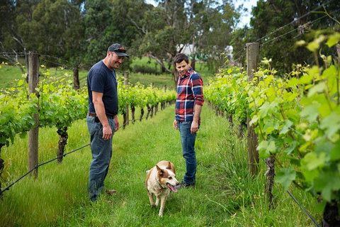 LGBT+ Friendly Full Day Yarra Valley & Dandenong Ranges Private Tour - Geraldton Accommodation 4