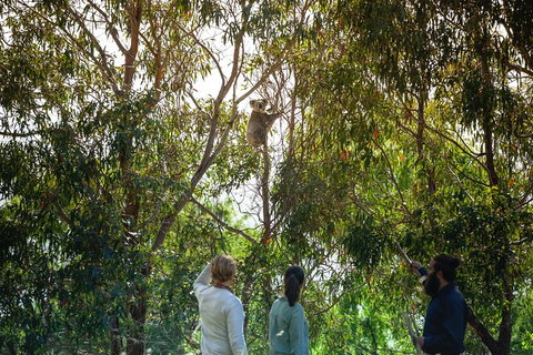 LGBT+ Friendly 3 Day Tour The Grampians, Daylesford & Ballarat - Geraldton Accommodation 4