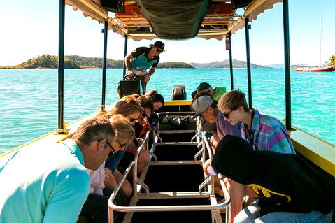 Airlie Beach Glass Bottom Boat Tour - Geraldton Accommodation 1