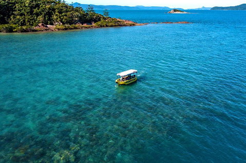 Airlie Beach Glass Bottom Boat Tour - Geraldton Accommodation 4