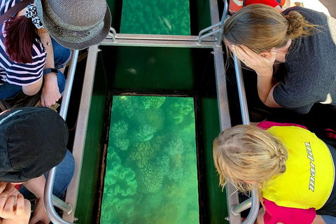 Airlie Beach Glass Bottom Boat Tour - Geraldton Accommodation 5