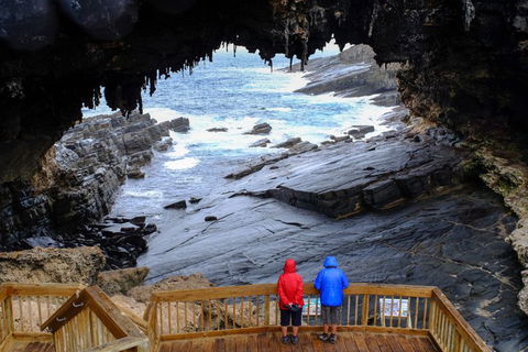 Full-Day Kangaroo Island Safari From Penneshaw - Geraldton Accommodation 1