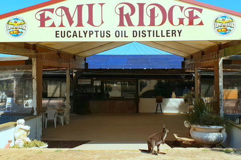 Full-Day Kangaroo Island Safari From Penneshaw - Geraldton Accommodation 2