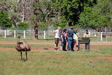 Yura Udnyu - Our Culture, Your Culture (Aboriginal Cultural Walk) - Geraldton Accommodation 1
