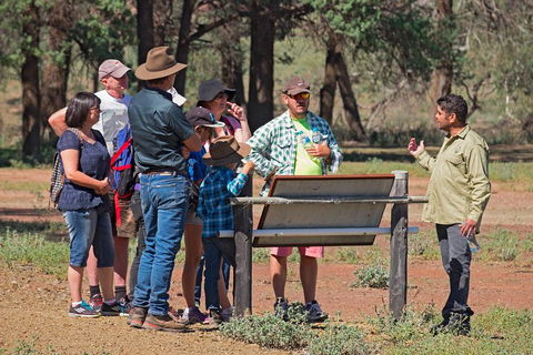 Yura Udnyu - Our Culture, Your Culture (Aboriginal Cultural Walk) - Geraldton Accommodation 2