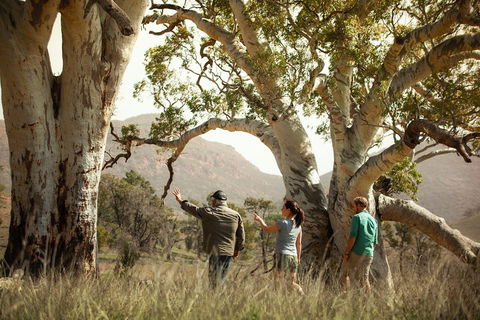 Yura Udnyu - Our Culture, Your Culture (Aboriginal Cultural Walk) - Geraldton Accommodation 5