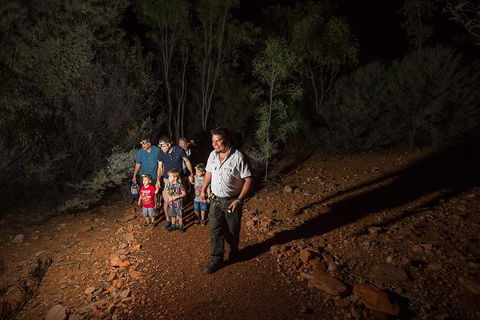 Alice Springs Desert Park Nocturnal Tour - Geraldton Accommodation 0