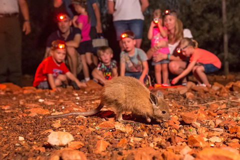 Alice Springs Desert Park Nocturnal Tour - Geraldton Accommodation 1