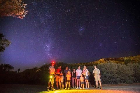 Alice Springs Desert Park Nocturnal Tour - Geraldton Accommodation 2