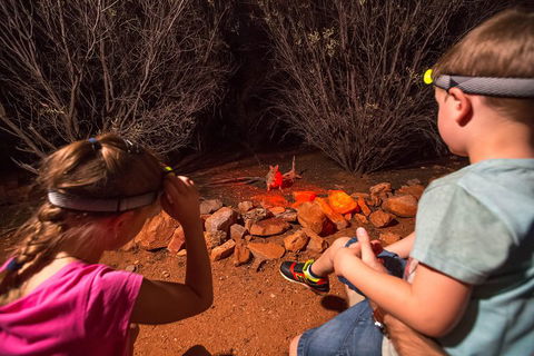 Alice Springs Desert Park Nocturnal Tour - Geraldton Accommodation 4