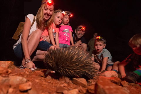 Alice Springs Desert Park Nocturnal Tour - Geraldton Accommodation 5