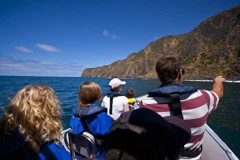 Seal Island Boat Tour From Victor Harbor - Geraldton Accommodation 0
