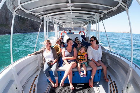 Seal Island Boat Tour From Victor Harbor - Geraldton Accommodation 1
