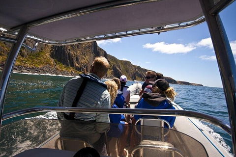 Seal Island Boat Tour From Victor Harbor - Geraldton Accommodation 2