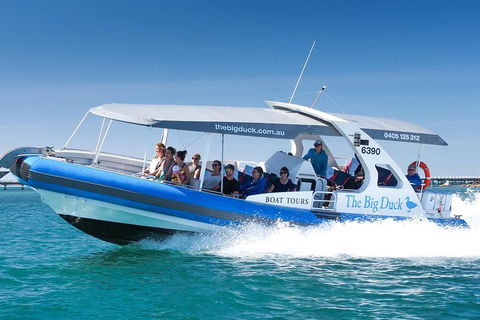 Seal Island Boat Tour From Victor Harbor - Geraldton Accommodation 3