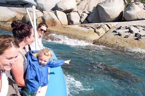 Seal Island Boat Tour From Victor Harbor - Geraldton Accommodation 4