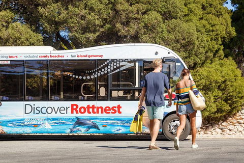 Discover Rottnest With Ferry & Bus Tour From Perth Or Fremantle - Geraldton Accommodation 1