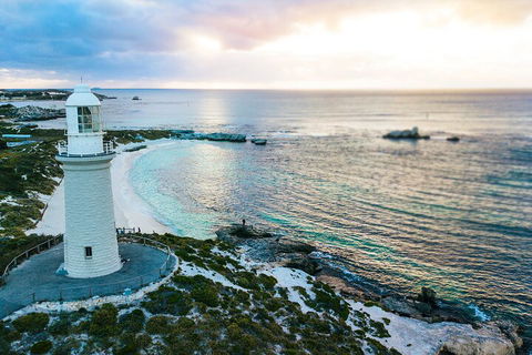 Discover Rottnest With Ferry & Bus Tour From Perth Or Fremantle - Geraldton Accommodation 2
