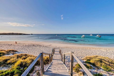 Discover Rottnest With Ferry & Bus Tour From Perth Or Fremantle - Geraldton Accommodation 4