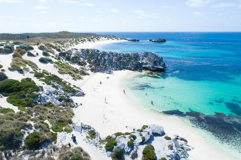 Discover Rottnest With Ferry & Bus Tour From Perth Or Fremantle - Geraldton Accommodation 5