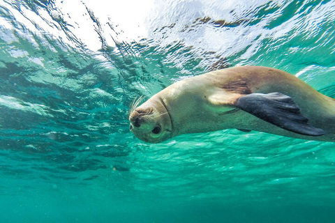 10-Day Adelaide To Perth Adventure Tour - Geraldton Accommodation 1