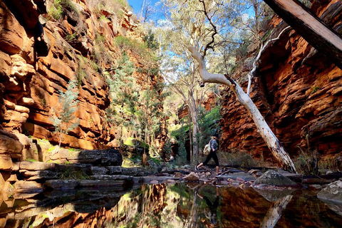 10-Day Adelaide To Perth Adventure Tour - Geraldton Accommodation 5