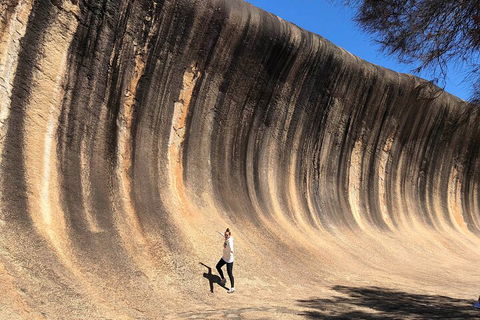 6 Day Esperance & Margaret River Adventure Tour - Geraldton Accommodation 4